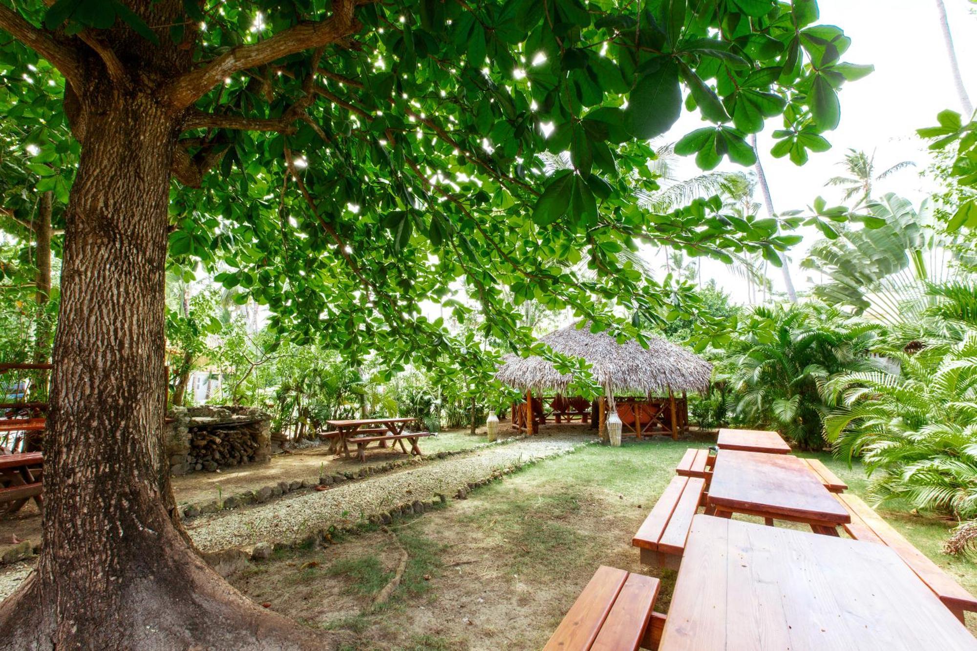Ducassi And - Rooftop Pool, Club, Breakfast And Wifi Apartahotel 5*